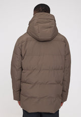 olive brown