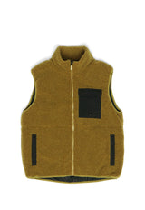 dried olive black