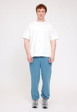 natural dye storm blue